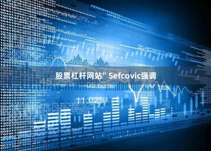 股票杠杆网站”Sefcovic强调