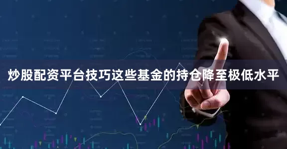 炒股配资平台技巧这些基金的持仓降至极低水平