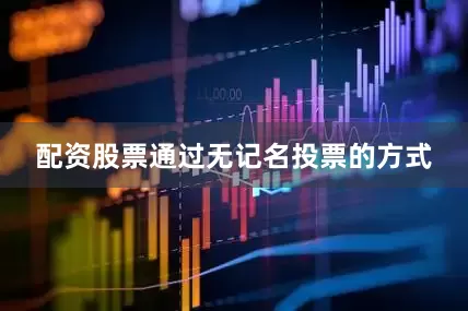 配资股票通过无记名投票的方式