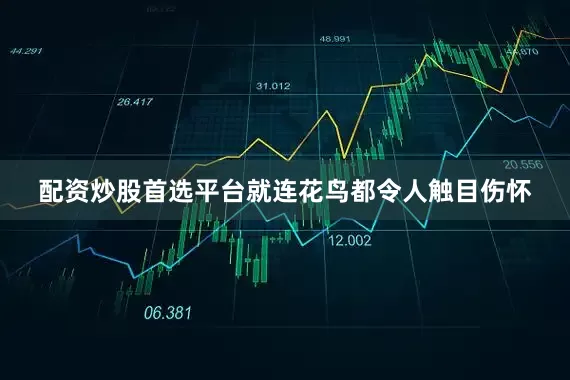 配资炒股首选平台就连花鸟都令人触目伤怀