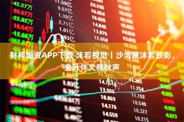 财神配资APP下载 沫若视觉丨沙湾藏沫若故影，金叶伴文魄秋声